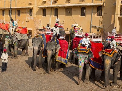 Taxi Service in Rajasthan