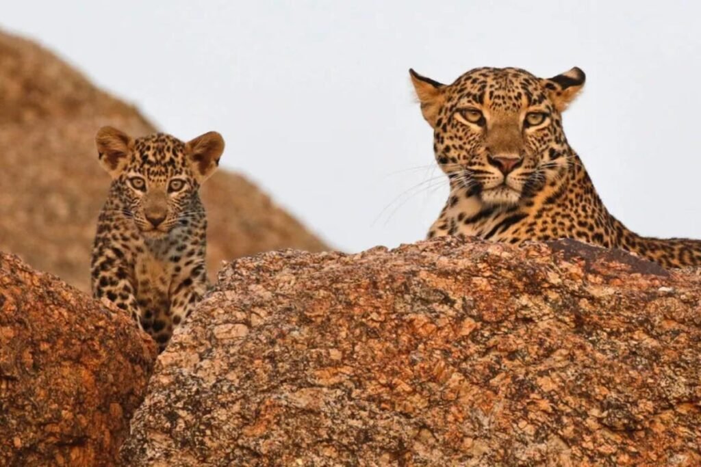 summer vacation in Rajasthan