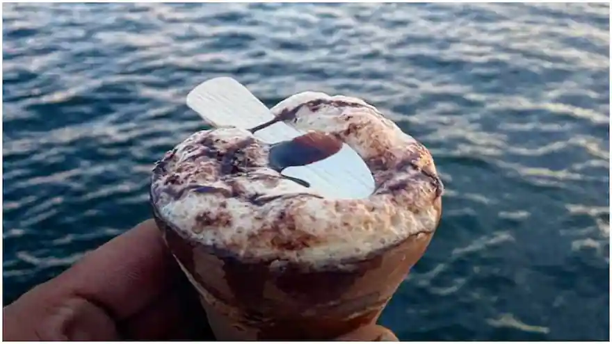 monsoon food in udaipur